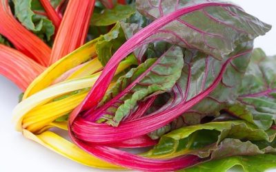 Bietole: proprietà, benefici e ricette