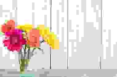 10 fiori primaverili facili da coltivare