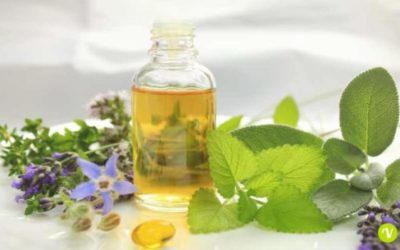 Olio di borragine: benefici per la pelle