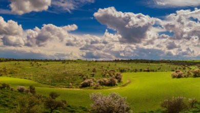 Il Parco nazionale dell'Alta Murgia