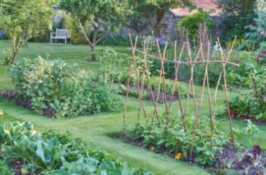 Come fare un orto-giardino: bello da vedere e da mangiare!