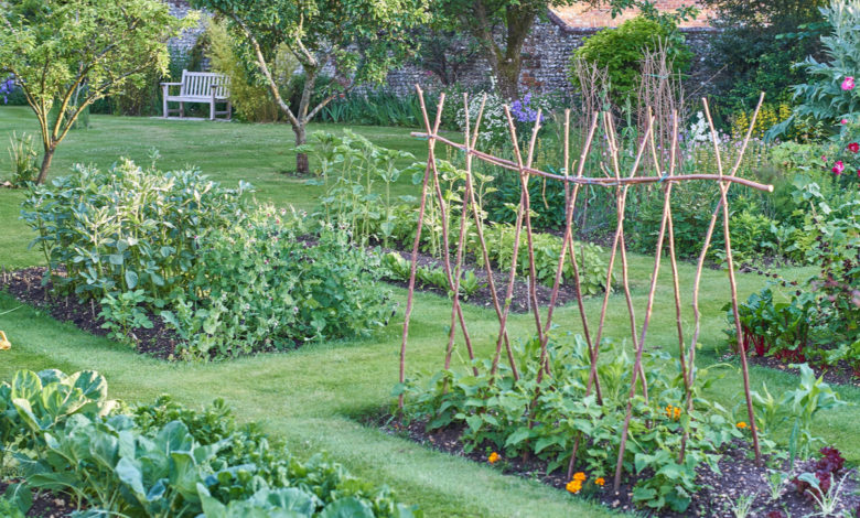 Come fare un orto-giardino