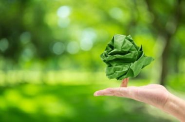 Carta riciclata: come riciclare la carta correttamente e dare una mano all’ambiente