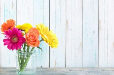 10 fiori primaverili facili da coltivare