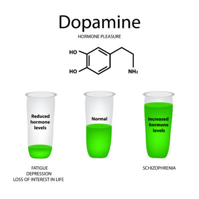 Dopamina, tutto sulla sostanza che regola il piacere