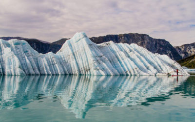 Artico, non solo scioglimenti. Ci si mette pure l’acidificazione