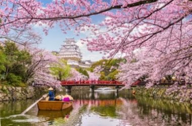 Hanami ovvero ammirare gli alberi in fiore in primavera