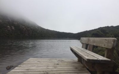 La conservazione dell’ambiente e l’eco-turismo in Tasmania: un caso esemplare