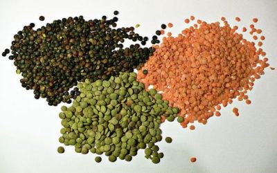 Proprietà, varietà, ricette con lenticchie