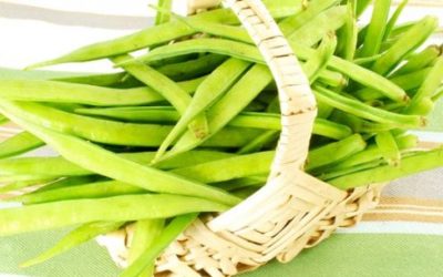 Gomma di guar, proprietà e utilizzi