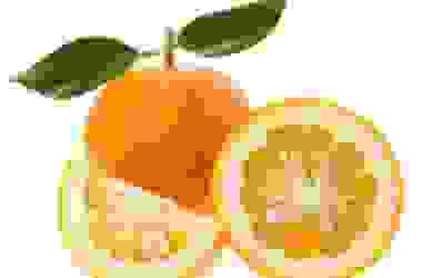 Arancio amaro, proprietà e utilizzi del neroli