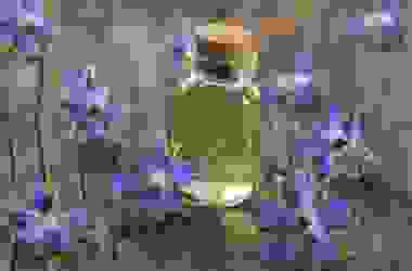 Olio di borragine: proprietà, caratteristiche distintive e modi di utilizzo