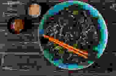Guida all’utilizzo delle alghe in cucina: quali sono le alghe più adatte e come impiegarle