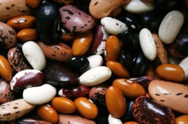 Leguminose: coltivazione e benefici