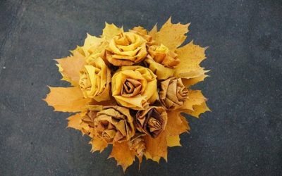 5 fiori autunnali facili da coltivare