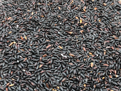 Riso Venere Proprieta Valori Nutrizionali Cottura E Ricette