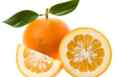 Arancio amaro, proprietà e utilizzi del neroli