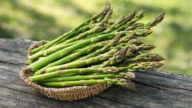 asparagi