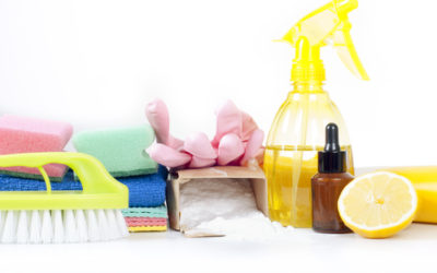 Prodotti biologici per la casa: le pulizie di casa si fanno eco!