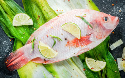 Tilapia, tutto sul pesce più mangiato al mondo