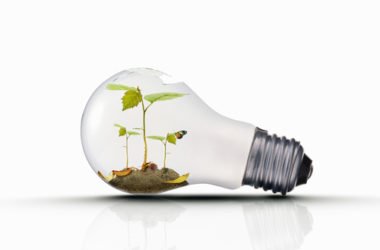 Raccolta differenziata delle lampadine e dei falsi amici del vetro