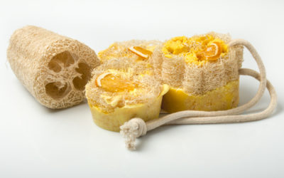 Luffa, la spugna vegetale che possiamo coltivare anche noi