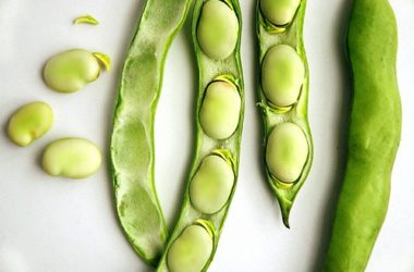 Fava: proprietà, cottura e utilizzi