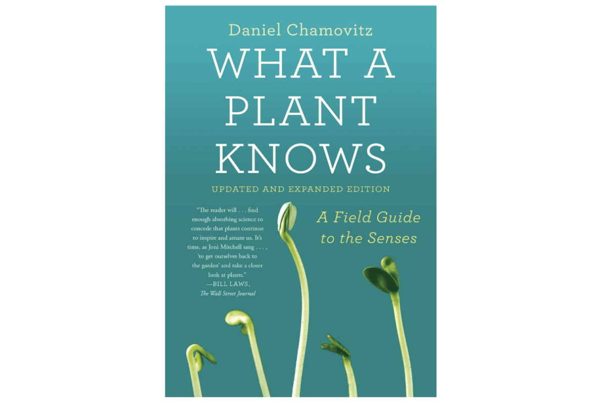 Daniel Chamovitz, What Plant Knows