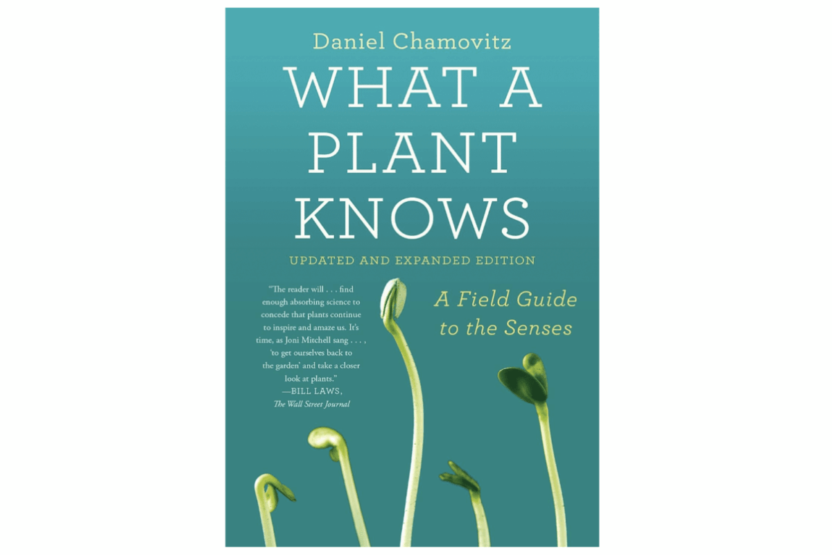 Daniel Chamovitz, What Plant Knows