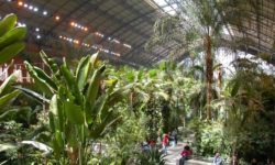 La stazione madrilena di Atocha ora è un’enorme serra