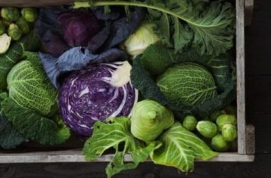 Dieta Atkins: funziona davvero? Come praticarla? Quello che devi sapere