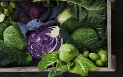 Dieta Atkins: funziona davvero? Come praticarla? Quello che devi sapere