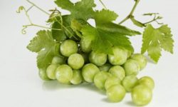 Dieta dell’uva: benefici, ricette e controindicazioni