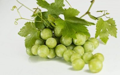 Dieta dell’uva: benefici, ricette e controindicazioni