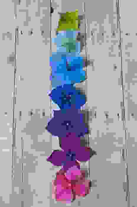 colori ortensia