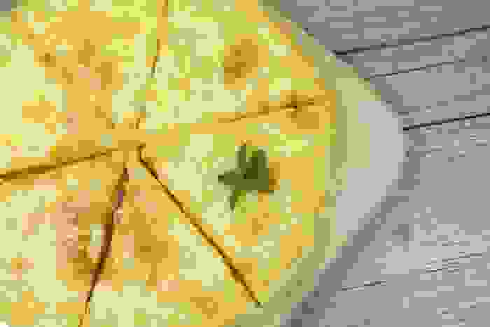 dieta a punti