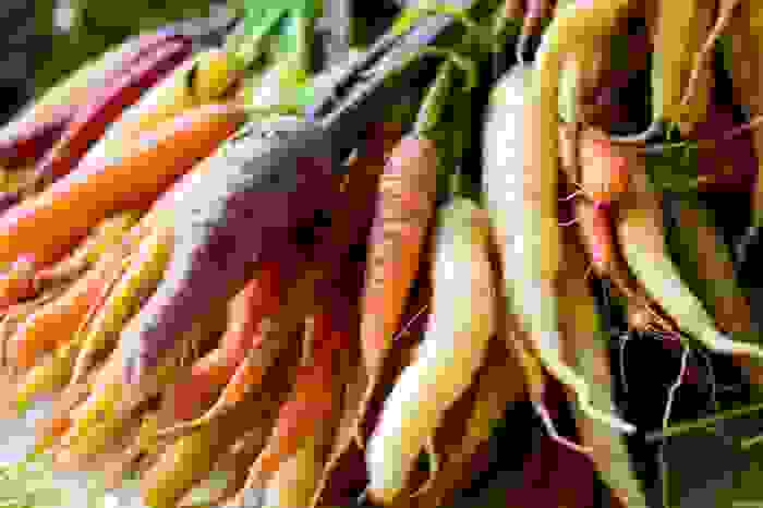 carote colorate