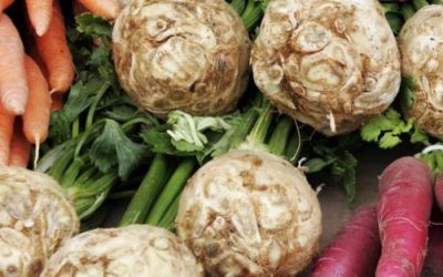 Radici commestibili: quali sono e alcune ricette