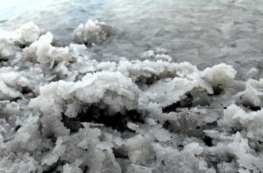 Magnesio pidolato: che cos’è e a cosa serve