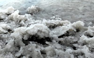Magnesio pidolato: che cos’è e a cosa serve