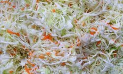 Crauti, proprietà, benefici e ricette