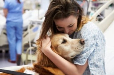 Cos’è la pet therapy o zooterapia: benefici e cose da sapere