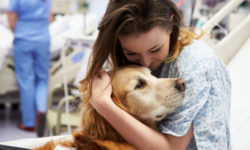 Cos’è la pet therapy o zooterapia: benefici e cose da sapere