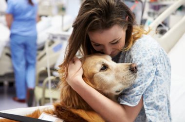 Cos’è la pet therapy o zooterapia: benefici e cose da sapere