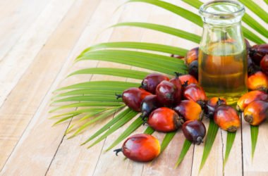 L’olio di palma fa male: effetti su salute e ambiente