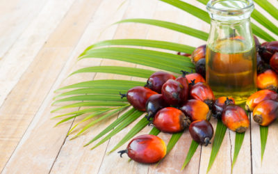 L’olio di palma fa male: effetti su salute e ambiente