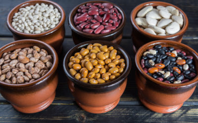 Fagioli ricette, proprietà, benefici e coltivazione