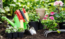 Giardinaggio: come curare le piante e… se stessi