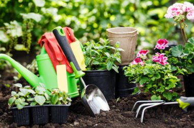 Giardinaggio: come curare le piante e… se stessi