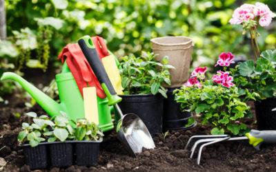 Giardinaggio: come curare le piante e… se stessi